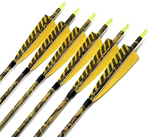 Load image into Gallery viewer, ARCHERY SHARLY [12 Pack] 31Inch Carbon Arrow Practice Hunting Arrows with 5&quot; Camo Natural Feathers for Traditional Recurve Bow and Longbow
